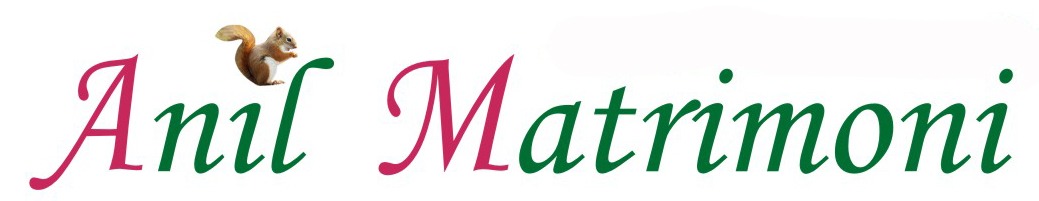 Anil Matrimoni